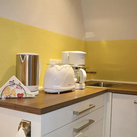 Friedrichsruh Apartment *